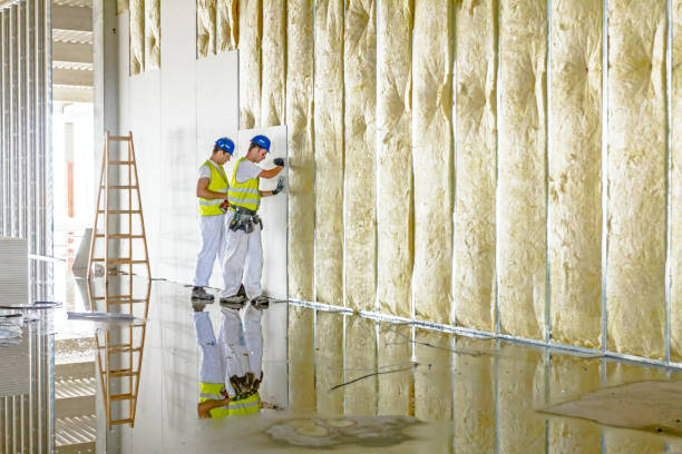 Best Types of Insulation in Franklin, WI